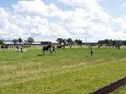 P9150121.jpg