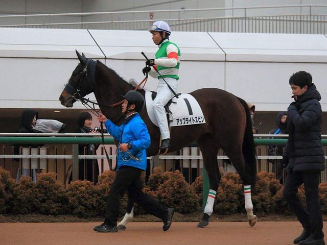 アップライトスピン